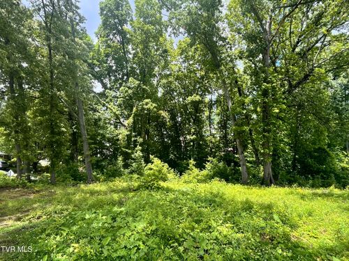 Tbd Northwood Ave, Johnson City, TN, 37615 | Card Image
