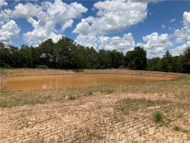 View of tree filled area featuring a water view | Image 18