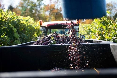 7448 County Road 153, Ovid, NY, 14521-9564 | Card Image