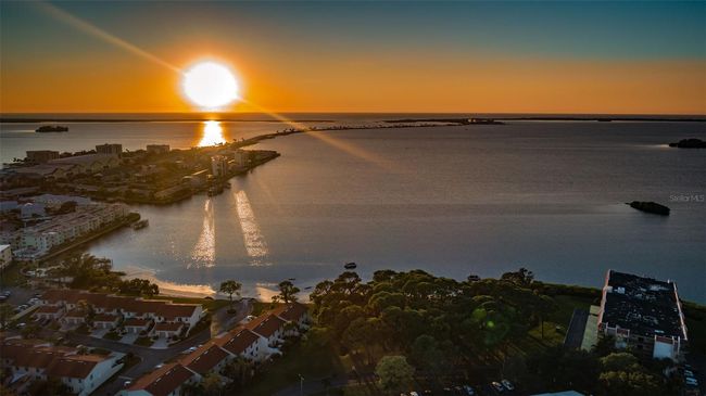APT-1206 - 2700 Bayshore Blvd, Condo with 2 bedrooms, 1 bathrooms and null parking in DUNEDIN FL | Image 64