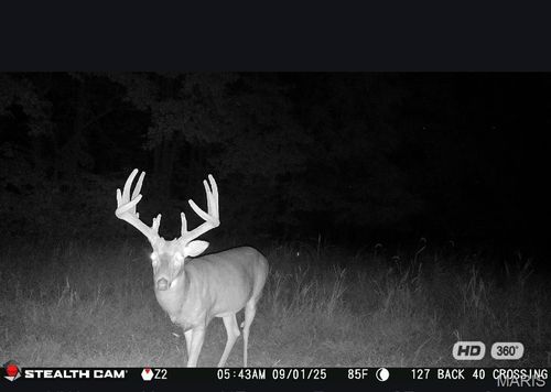 67 +/- Ac Circle Acres, Marthasville, MO, 63357 | Card Image