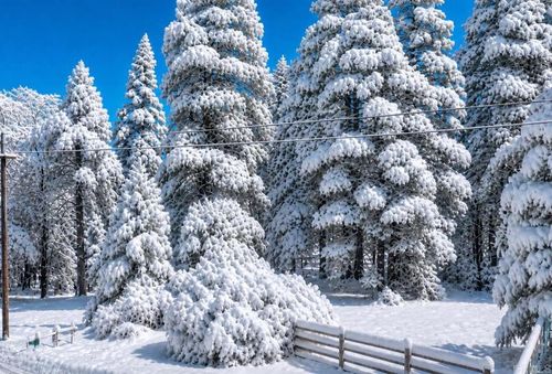 .29 / Crestline Road, Valley Center, CA, 92082 | Card Image