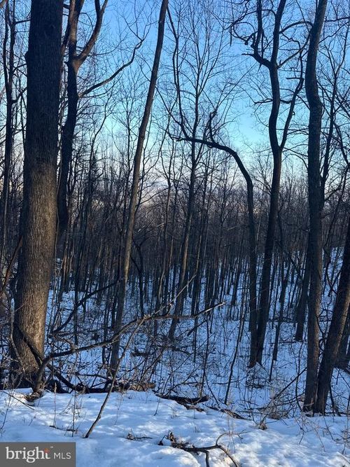 1611 Summit Dr, Haymarket, VA, 20169-1317 | Card Image