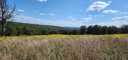 212 Hill Road, Danby, NY, 14001 | Card Image