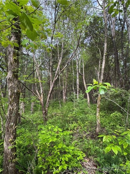 NW Hancock Chapel Rd Nw, Depauw, IN, 47115 | Card Image