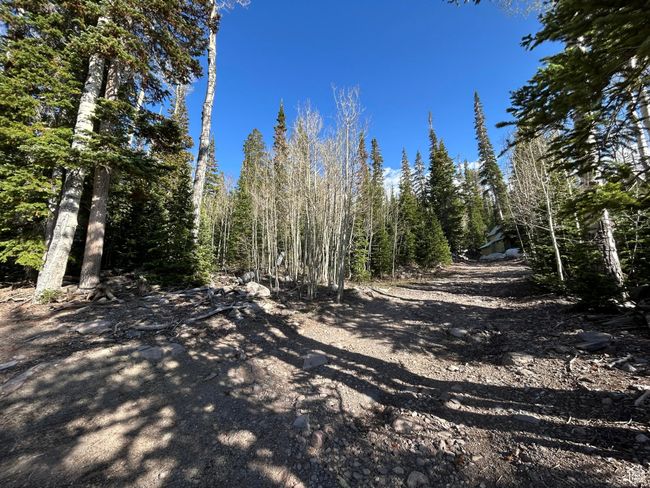 View of street with a wooded view | Image 43