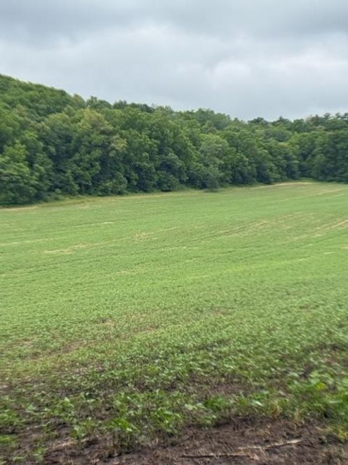 TBD Back Valley Rd, Pepin, WI, 54759 | Card Image