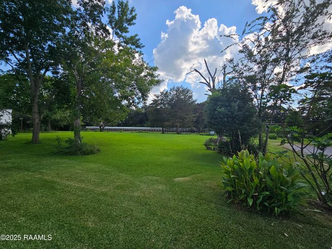 View | Image 15