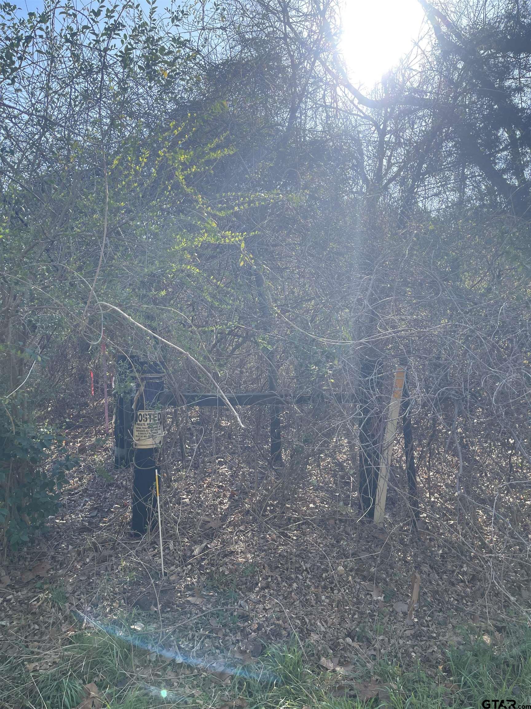 Land in Troup 4