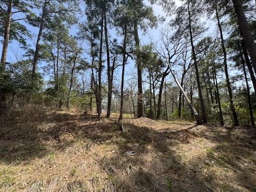 312 Waterview Dr, Trinity, TX, 75862 | Card Image