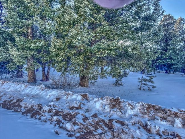 1174 Monarch Dr, Home with 0 bedrooms, 0 bathrooms and null parking in Cripple Creek CO | Image 8