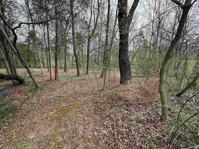 9410 Wolfe Cemetery Rd, House other with 2 bedrooms, 2 bathrooms and null parking in Georgetown IN | Image 13