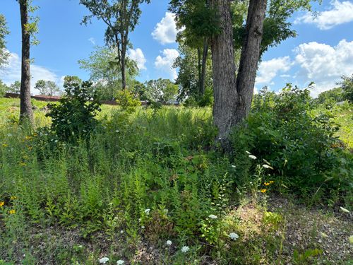 56 Northfork, Shell Knob, MO, 65747-6163 | Card Image