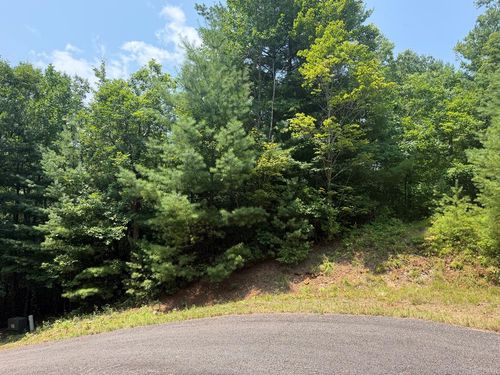 0 Whisper Ridge Court, Hiawassee, GA, 30546 | Card Image