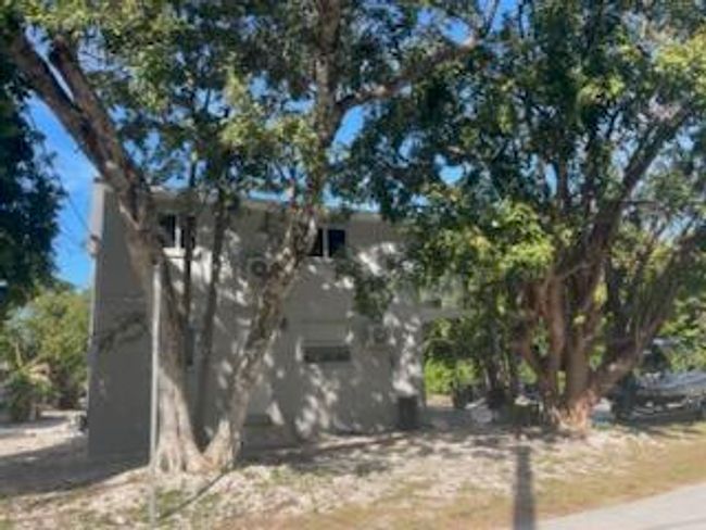 Large lot | Image 6