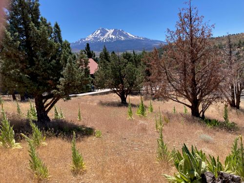 0000 Saddle Ridge Rd, Weed, CA, 96094 | Card Image