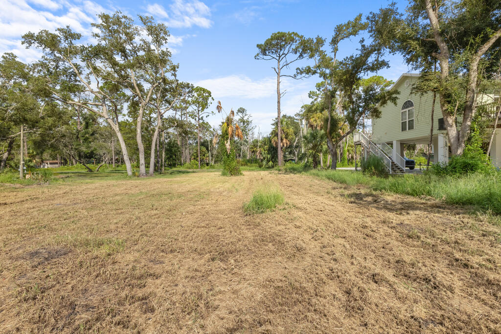 Land in Steinhatchee 3