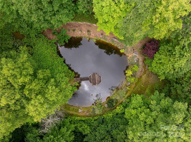 trout pond is fed from neighboring mountain stream | Image 46