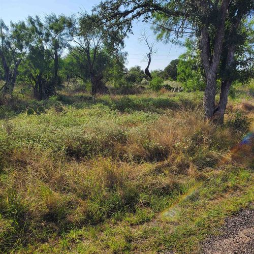 Lots 376 & 377 Woodcrest Drive, Granite Shoals, TX, 78654 | Card Image