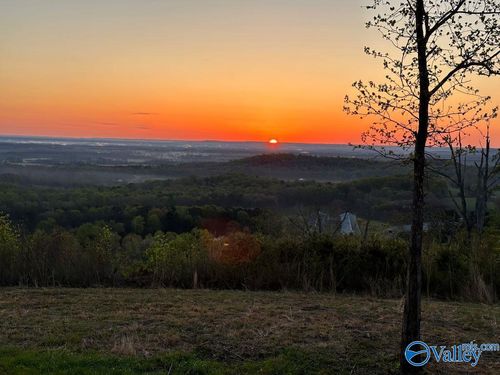 47.7 Acres County Hwy, Danville, AL, 35619 | Card Image