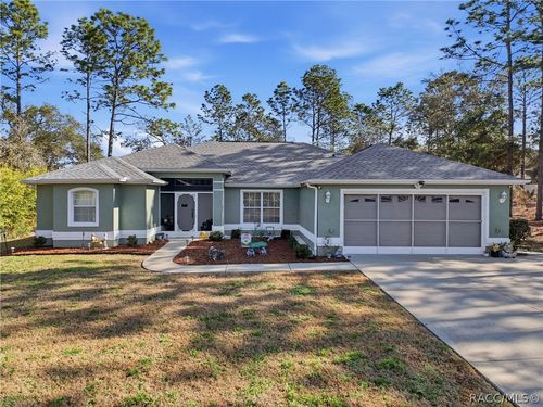 9131 N Alpinia Dr, CITRUS SPRINGS, FL, 34434-4902 | Card Image