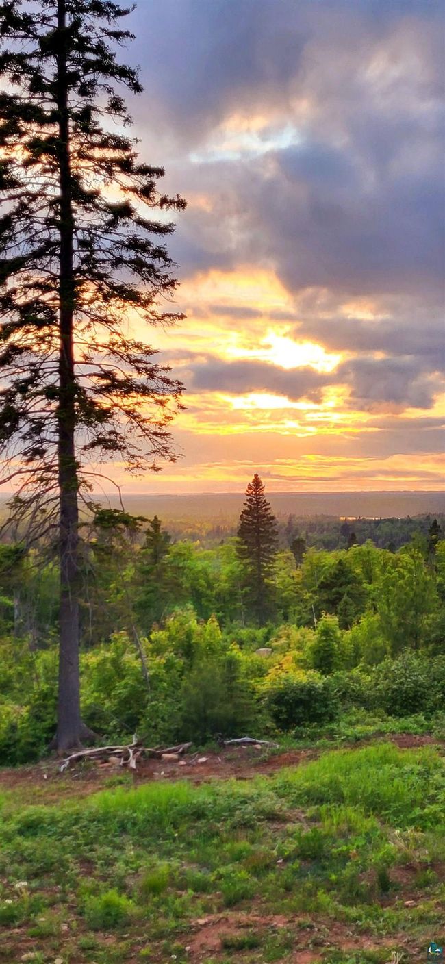 5241 Hut Two Rd, House other with 1 bedrooms, 0 bathrooms and null parking in Finland MN | Image 9