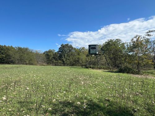 534 Monterrey Rd, Highlandville, MO, 65669 | Card Image