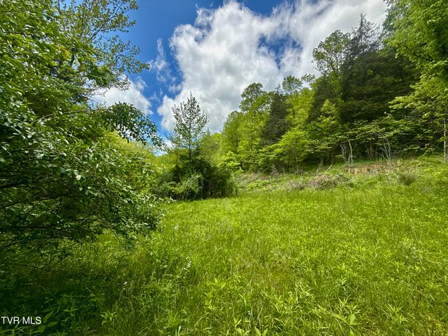 47 Tbd Enoch Rd, Home with 0 bedrooms, 0 bathrooms and null parking in Eidson TN | Image 9