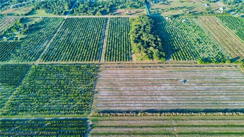 1050 Arbuckle Creek Rd, Lorida, FL, 33857-9789 | Card Image