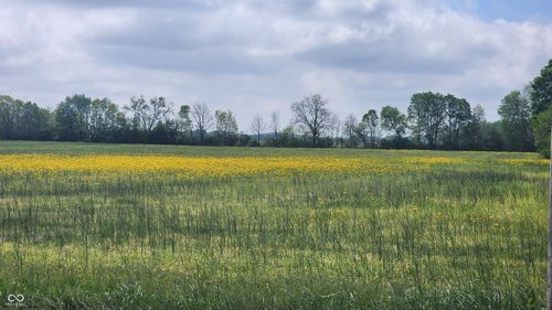 0 W 500 N, Whiteland, IN, 46184 | Card Image