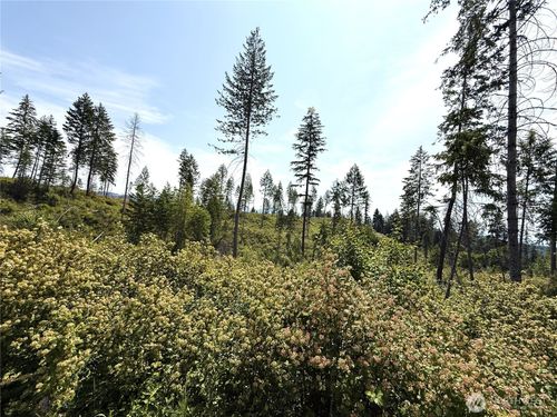 0 Lot 1 Rockabye Ln, Curlew, WA, 99118 | Card Image