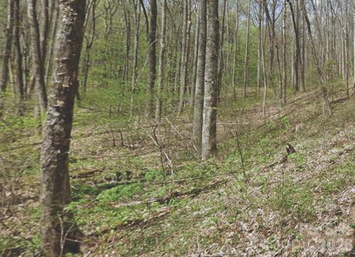 000 Heather Way, Waynesville, NC, 28786 | Card Image