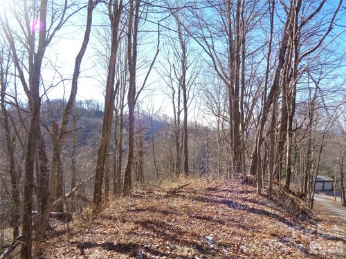 42-000 Listening Cv, Clyde, NC, 28721 | Card Image