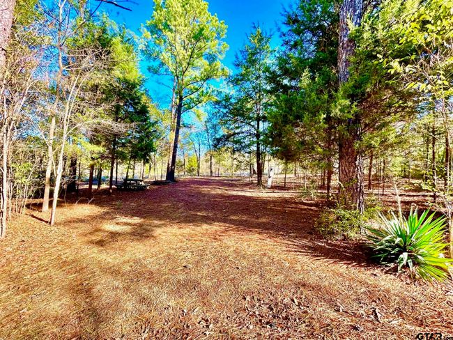 000 Grand View Dr, Home with 0 bedrooms, 0 bathrooms and null parking in Athens TX | Image 10