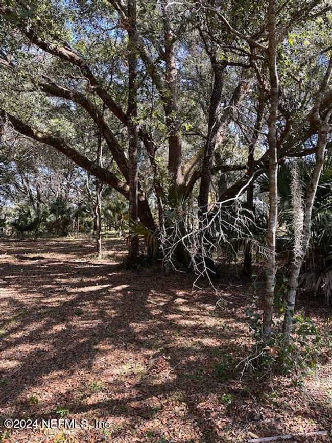 00-09 Se 265 Th Court Road, House other with 3 bedrooms, 2 bathrooms and null parking in Umatilla FL | Image 25