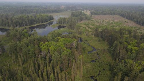 Parcel B Cherry Creek Trl, Grayling, MI, 49738 | Card Image