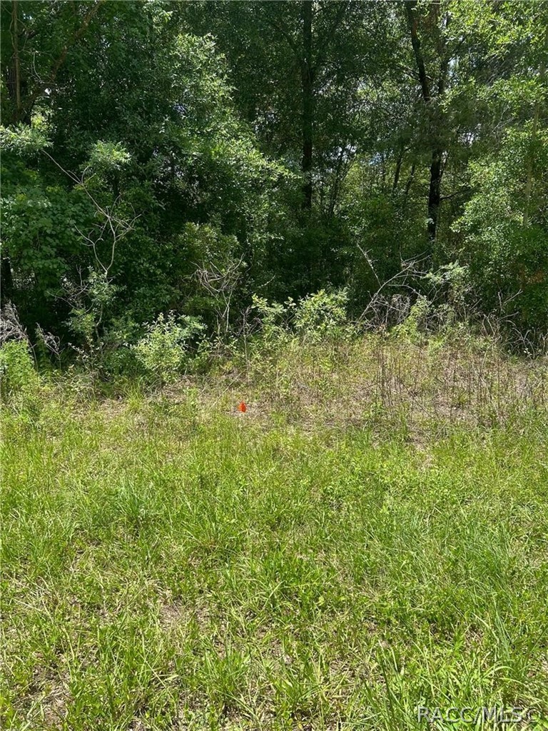 Land in Citrus Springs 5