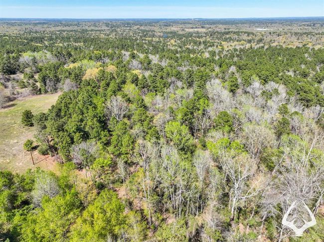 2 E Fm 323, Home with 0 bedrooms, 0 bathrooms and null parking in Palestine TX | Image 19