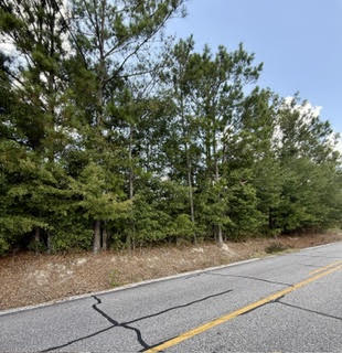 Land in Opelika