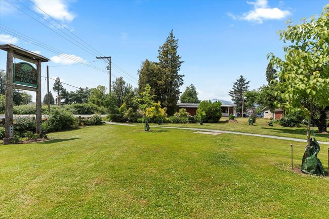 View of green lawn | Image 8