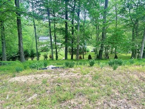 110 Fox Squirrel Dr, Dover, TN, 37058-5439 | Card Image