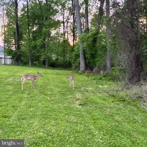 LOT 29 Wesleyan St, VIENNA, VA, 22180-7125 | Card Image