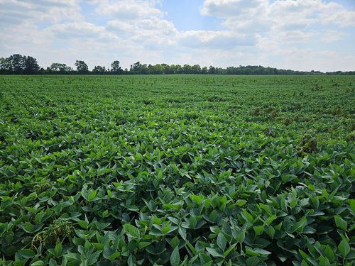 3521 Oxford Millville Rd, Oxford, OH, 45056-9360 | Card Image