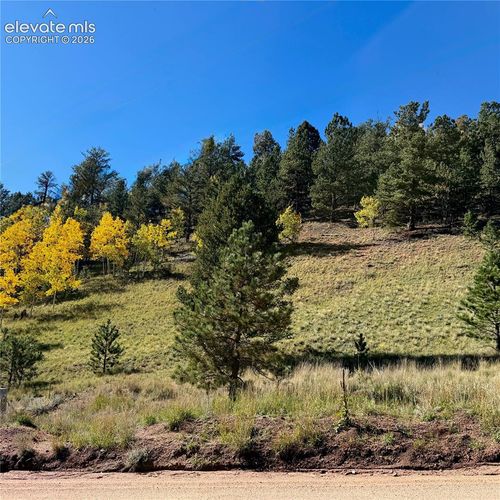 200 Beaver Pond Road, Divide, CO, 80814 | Card Image