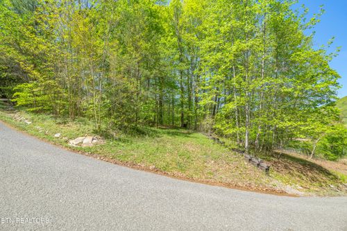 Lot 51 S Shorewood Ln, Caryville, TN, 37714 | Card Image
