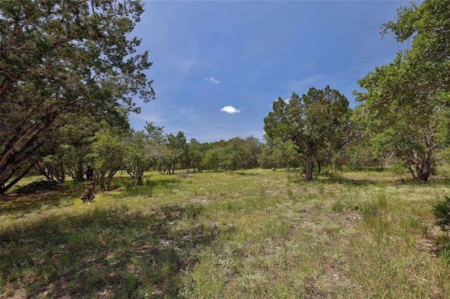 View of landscape featuring a view of trees | Image 32