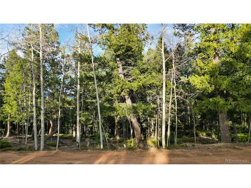 68 Yale Pl, Woodland Park, CO, 80863-8810 | Card Image