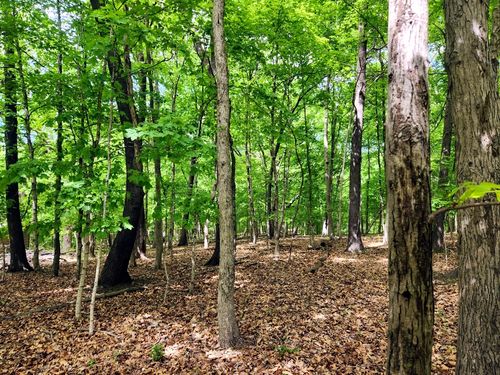 Lot 285 Winter Haven Dr, Varna, IL, 61375-9656 | Card Image