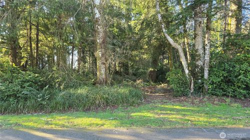 265 Fisher Avenue Ne, Ocean Shores, WA, 98569 | Card Image