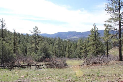 881 Ironwood Dr, Pagosa Springs, CO, 81147-9066 | Card Image